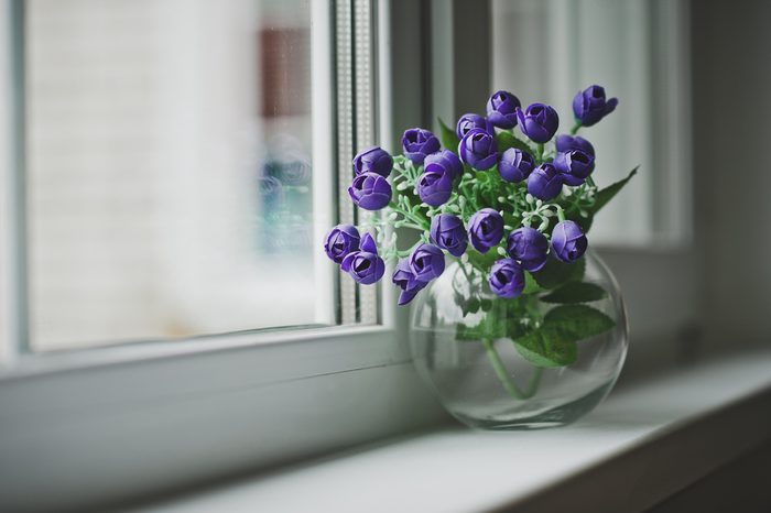 A vase of blue flowers on the windowsill.