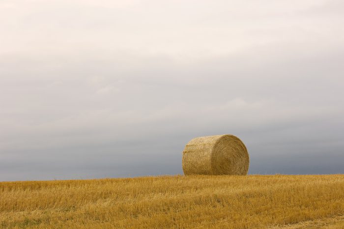 Lonely Bale of Hay near Dickinson, North Dakota