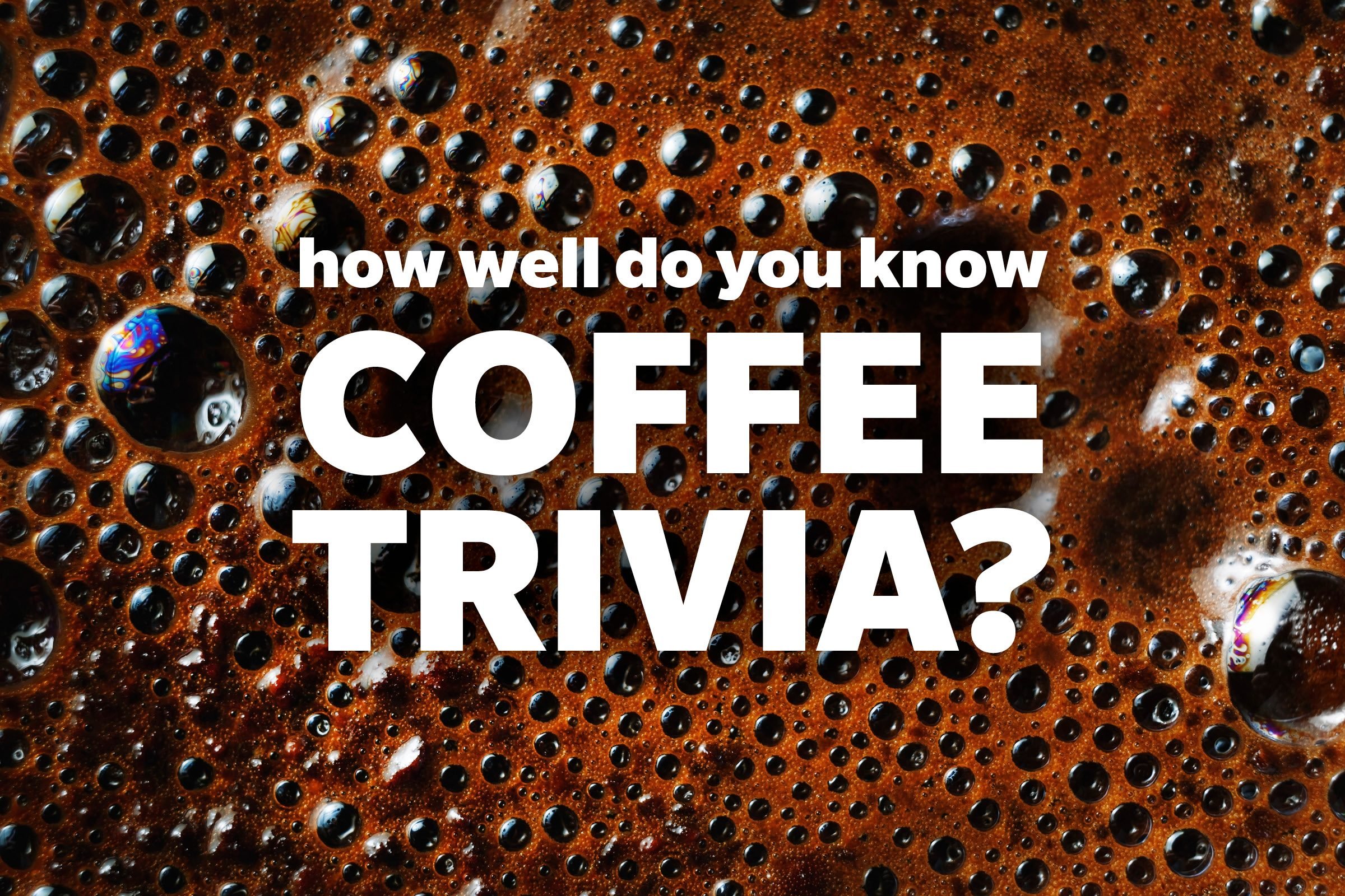 15 Coffee Facts You Never Knew About Reader S Digest