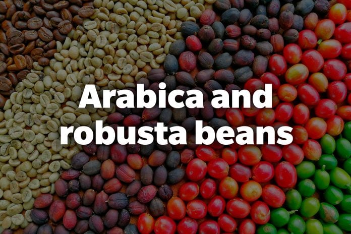 Arabica and robusta beans