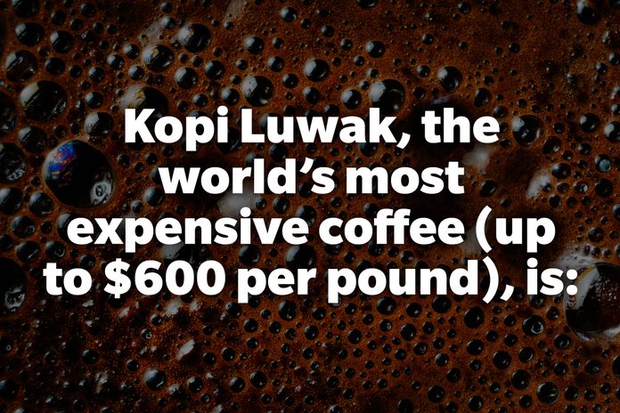 Kopi Luwak, the world’s most expensive coffee (up to $600 per pound), is: