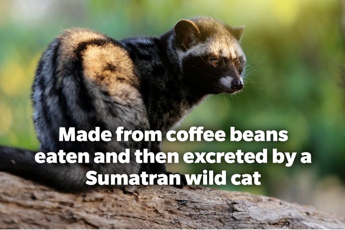 Made from coffee beans eaten and excreted by a Sumatran wild cat