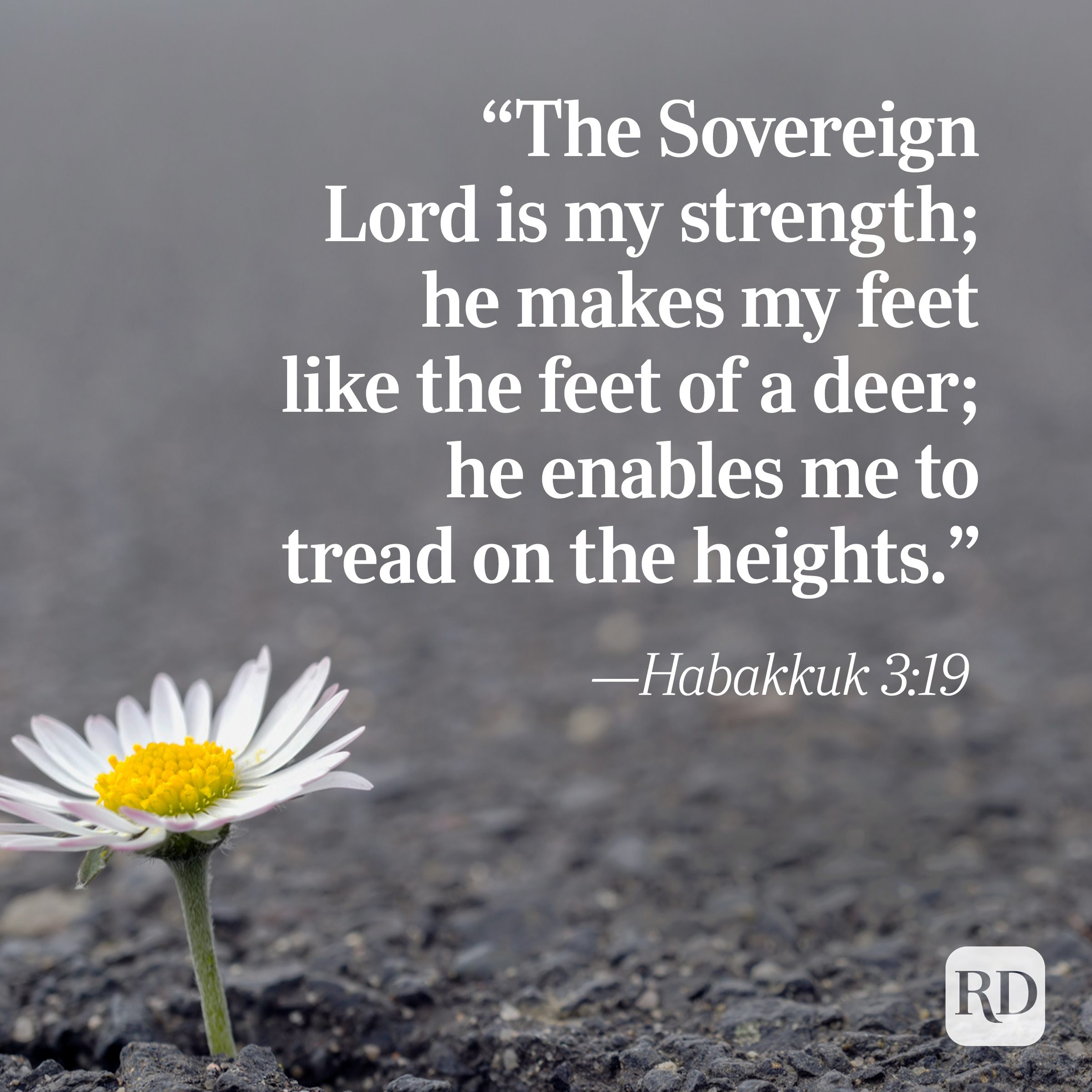 Bible Quote: Habakkuk 3:19