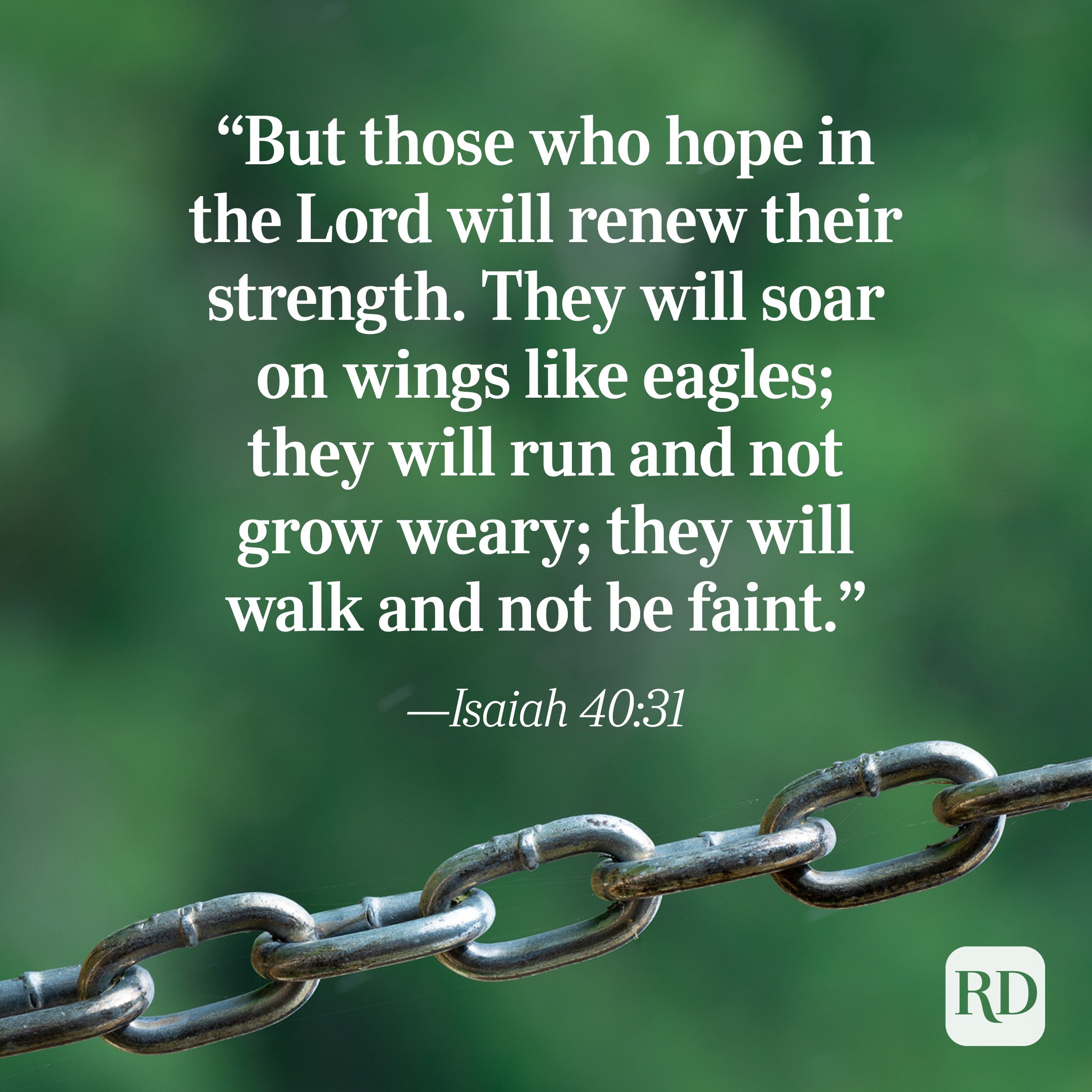 Bible Quote: Isaiah 40:31
