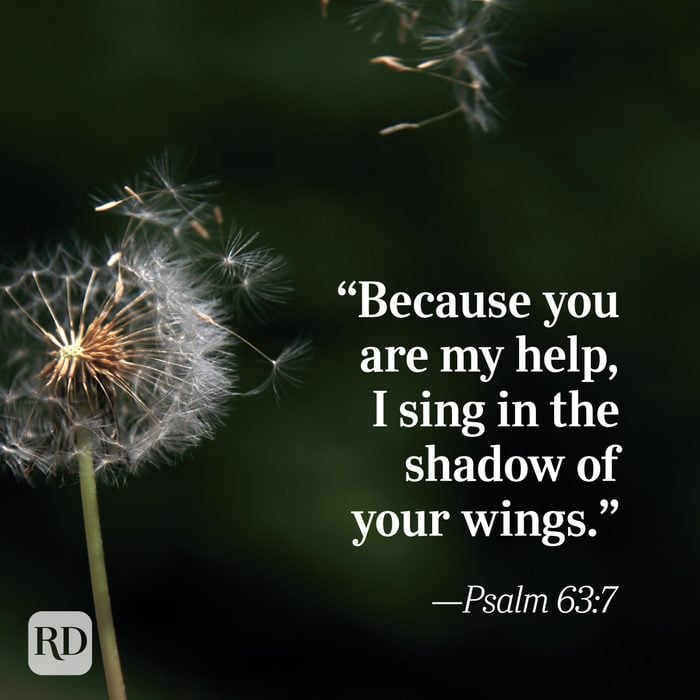 Bible Quote: Psalm 63:7