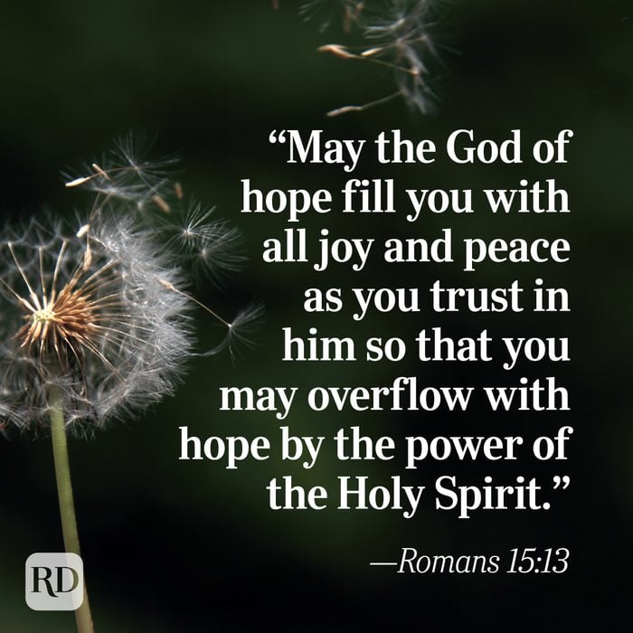 Bible Quote: Romans 15:13
