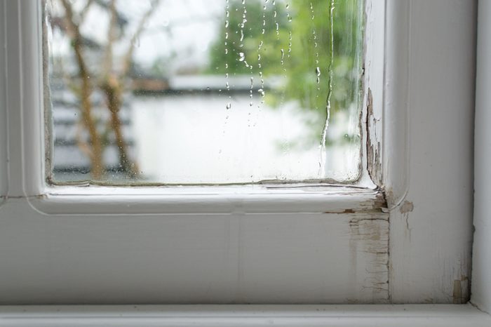 Leaking wooden window - water running down the inside of traditional single glazed timber window frame causing damage