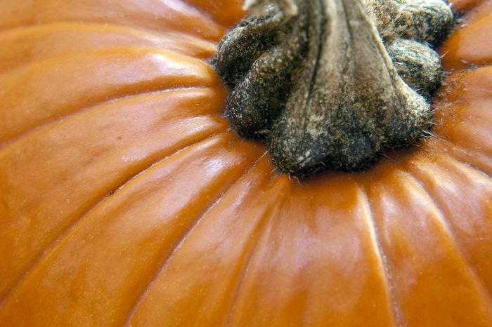 a close up of a bright orange pumpkin showing stem