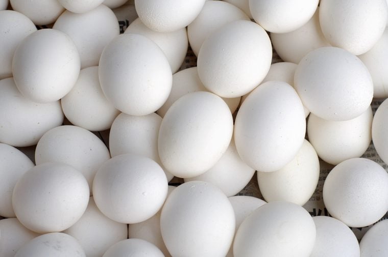 Close-up of animal eggs
