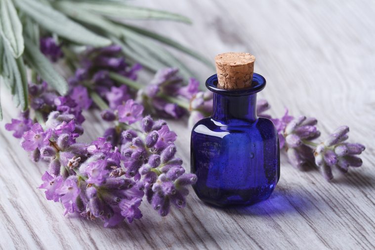 lavender oil in a glass bottle on a background of fresh flowers. Horizontal close-up