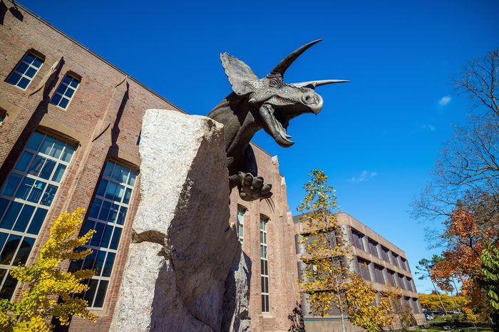 New Haven - OCTOBER 30: Yale Peabody Museum of Natural History in downtown New Haven CT, USA on October 30, 2015