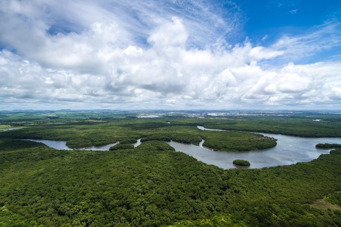 Aerial Shot of Amazon rainforest in Brazil, South America
