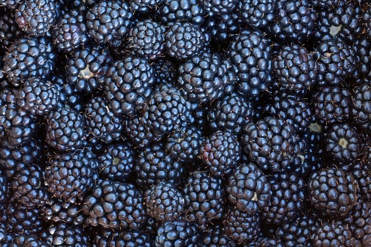 berries blackberries closeup