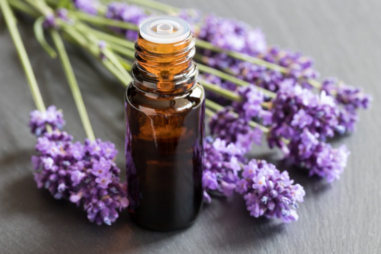 A bottle of lavender essential oil with fresh lavender twigs on a dark background