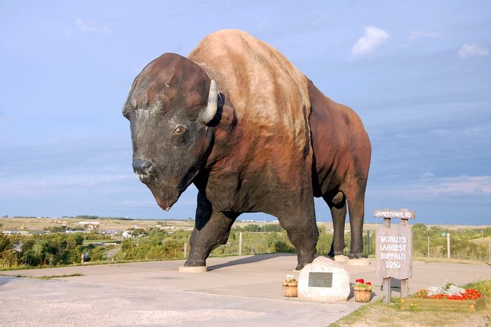 The World's Largest Buffalo, seen here on August 24, 2009, can be seen from I-94, and is nicknamed Dakota Thunder. It is located in Frontier Village in Jamestown, ND