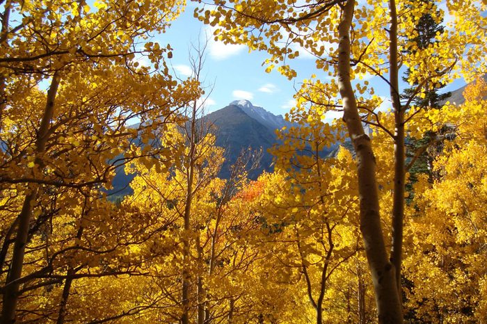 15 National Parks That Look Even More Beautiful in Fall