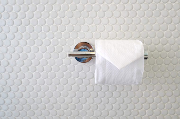 bathroom tissue, toilet paper, toilet tissue,toilet roll