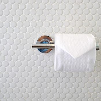 bathroom tissue, toilet paper, toilet tissue,toilet roll