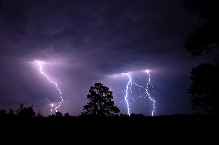 Lightning Strikes blue and purple colored forked lightning strikes contacting the ground at night during a summer electrical thunderstorm in South Africa with silhouetted trees in the foreground.