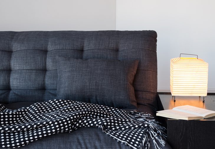 Living room detail. Cozy gray sofa with cushion and throw, table lamp and book.