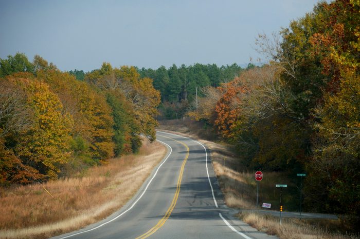 Paved road with colorful trees on both sides in the southern part of Oklahoma in autumn.