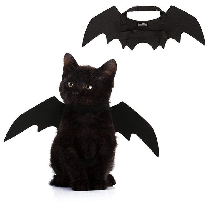 Youbedo Halloween Pet Bat Wings Cat Dog Bat Costume