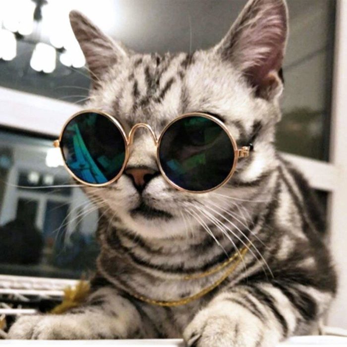 Coolrunner Cute Funny Pet Sunglasses Classic Retro Circular Metal Prince Sunglasses Cats Small Dogs Fashion Costume