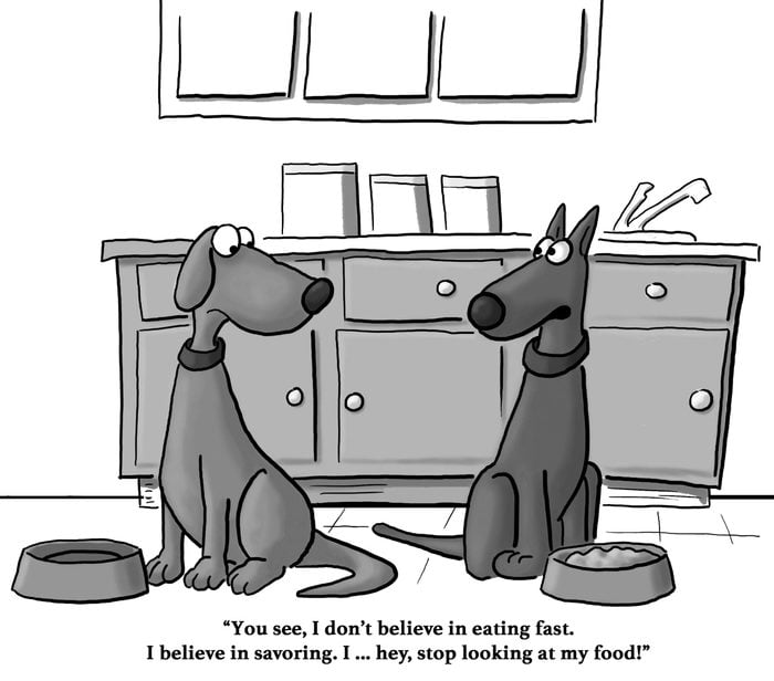 dogs eating cartoon