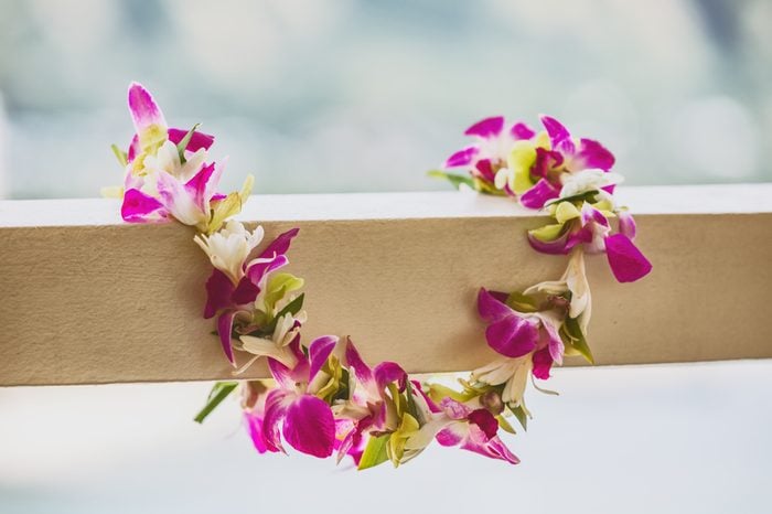 Hawaii luau icon travel concept: Fresh lei flowers necklace, Kauai hawaiian island tropical vacation background.