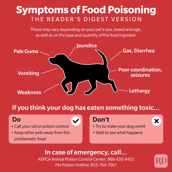 Symptoms Of Food Poisoning 