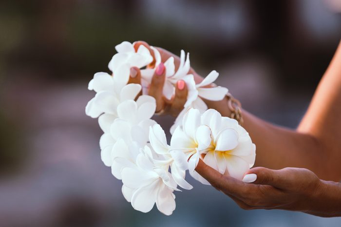Hawaii woman showing flower lei garland of white plumeria flowers.