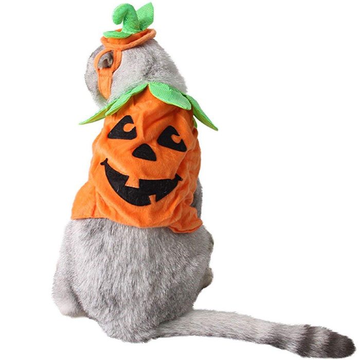Bolbove Pet Pumpkin Costume for Cats & Small Dogs Party Halloween Cosplay Free Size Orange (Hat+Clothes)