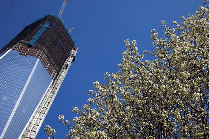 11 Fascinating Facts About One World Trade Center