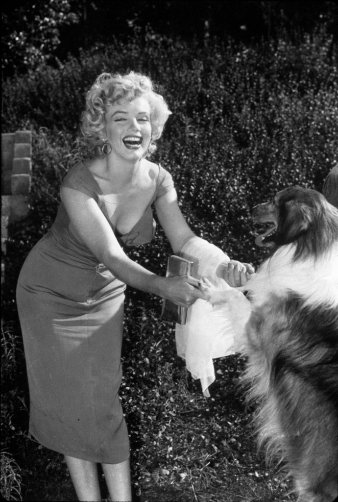 VARIOUS FILM STILLS OF 'NIAGARA' WITH 1953, ANIMALS (WITH ACTORS), DOG, HENRY HATHAWAY, LASSIE, MARILYN MONROE, LAUGHING, PLAYING, DRESS IN 1953