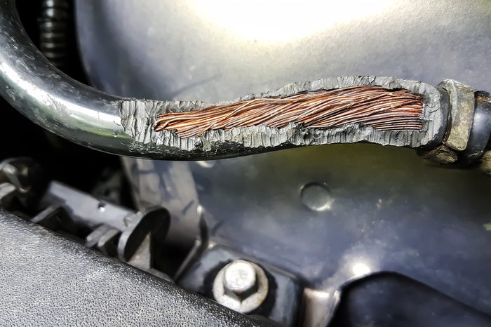 Damage on rubber of electricity wire in the car from rat bite
