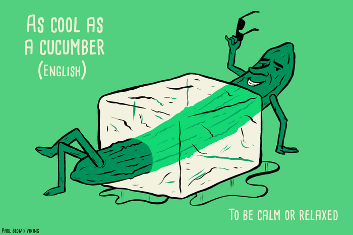 as cool as a cucumber