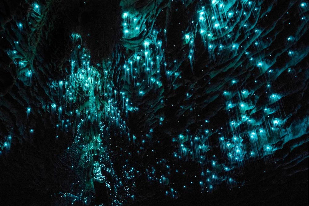 와이 토토, 와이토모 반딧불 동굴 