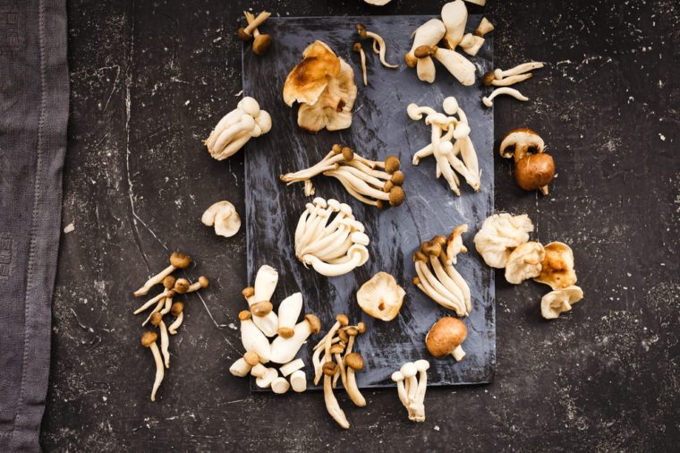 Mixed mushrooms. Shiitake, Composition of King trumpet mushroom (Eringi), Brown beech mushroom (Shimeji), Indian Oyster mushroom, Jew's ear Mushroom, Golden needle mushroom.