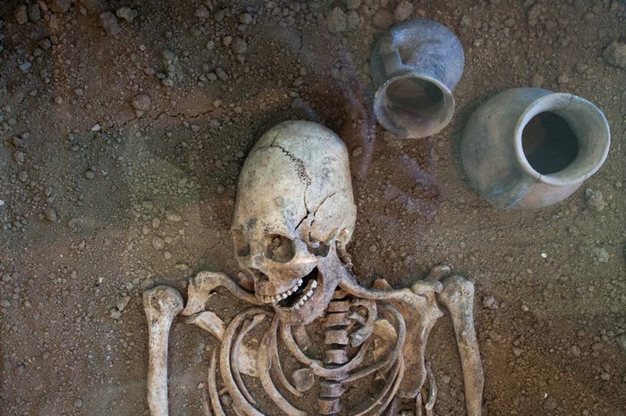 Archaeological excavations of an ancient human homo sapiens man reasonable Neanderthal bones skeleton and human skull