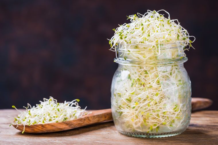 Fresh green seed sprouts of alfalfa in jar, healthy superfood concept.