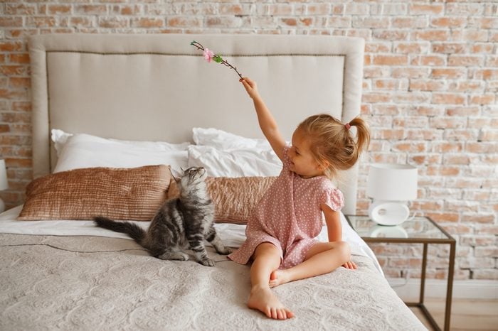 Little cute girl playing with kitten on sofa at home. Lifestyle child photo