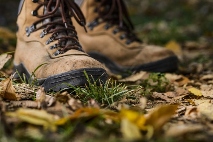 hiking boots on the forest floor
