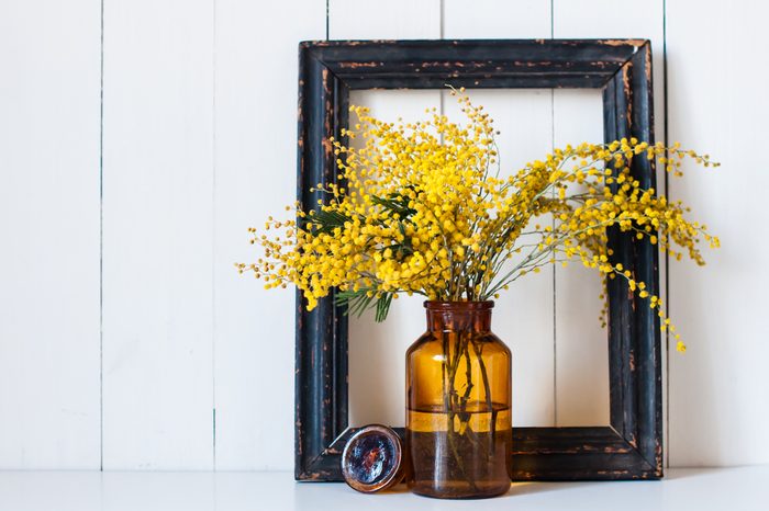 Home decor, mimosa yellow spring flowers in a vintage bottle on the white wall background
