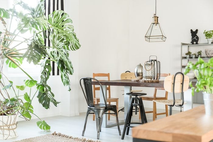 Bright dining room with table, chairs, bookshelf and green plant