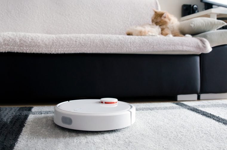Robotic vacuum cleaner cleaning the room. Cat sitting on the sofa.