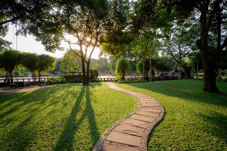 Beautiful urban city park at sunny day Bangkok city, Thailand. Small concrete walkway on green grass lawn in city park with warm sunset sunlight. Outdoor city park landscape photography, Bangkok park