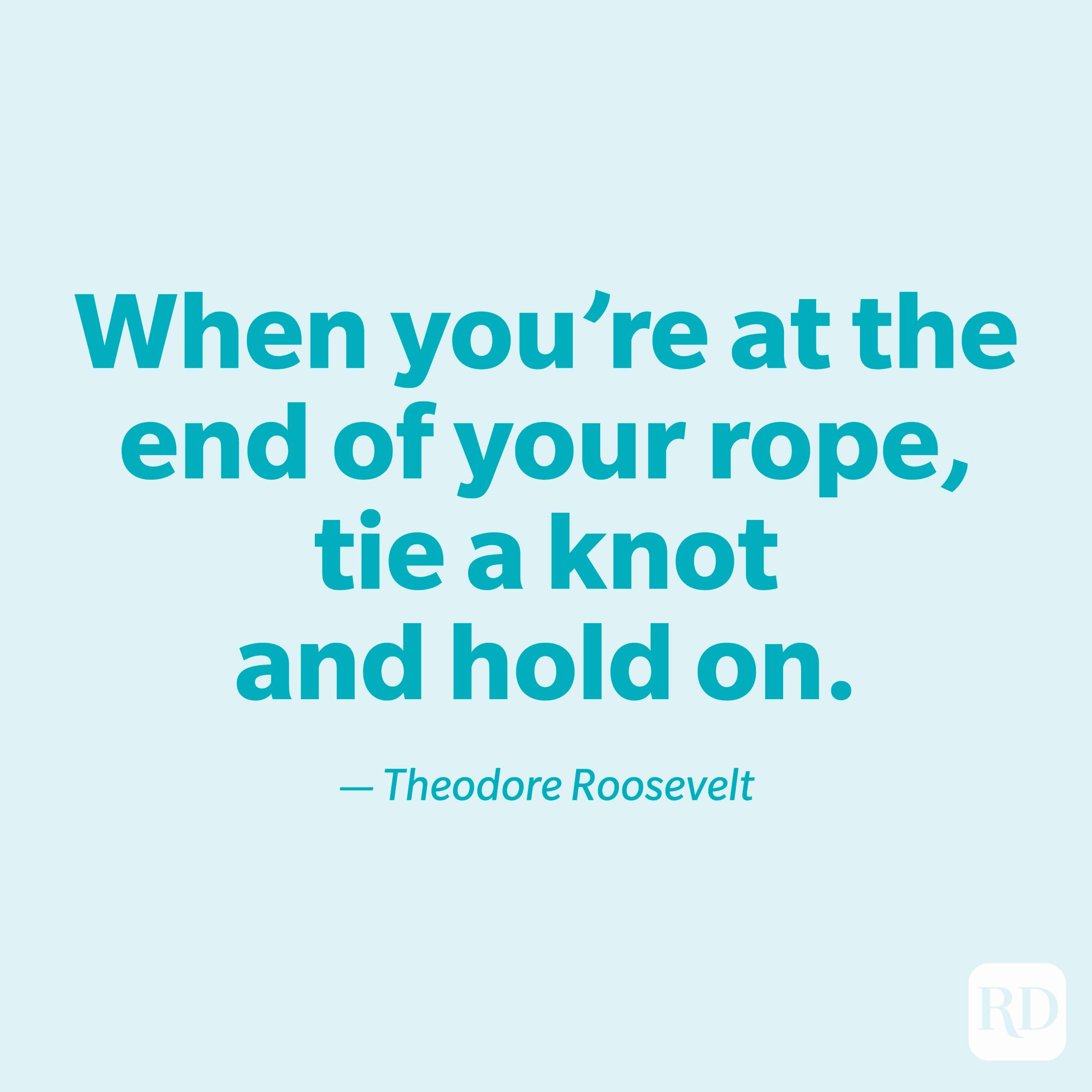 "When you're at the end of your rope, tie a knot and hold on." —Theodore Roosevelt.