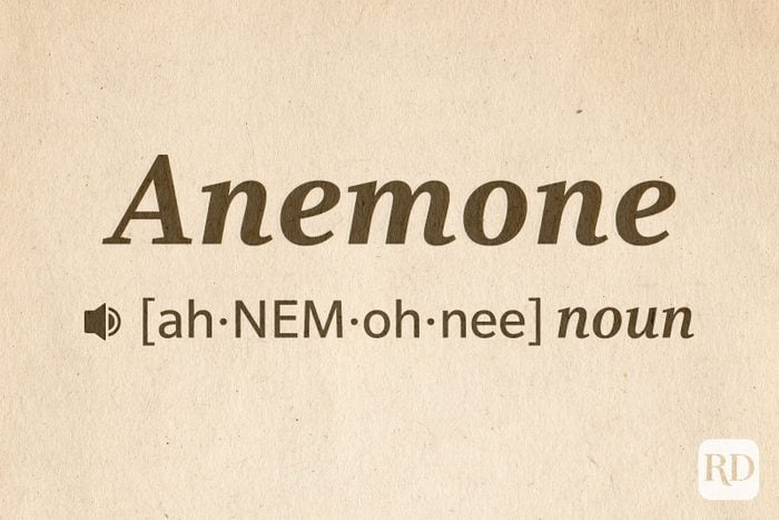 14 Hard Words To Pronounce Text: Anemone