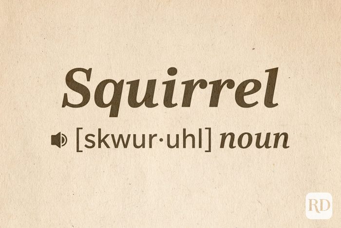 14 Hard Words To Pronounce Text: Squirrel