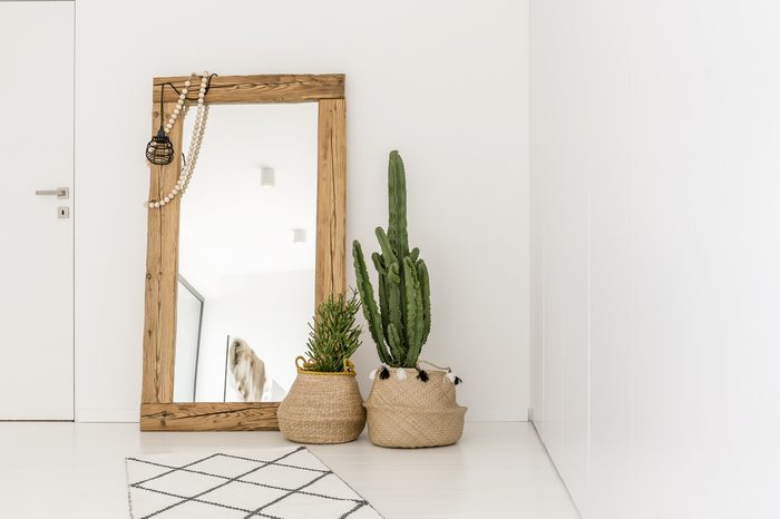 Enormous mirror accompanied by plants in the living room